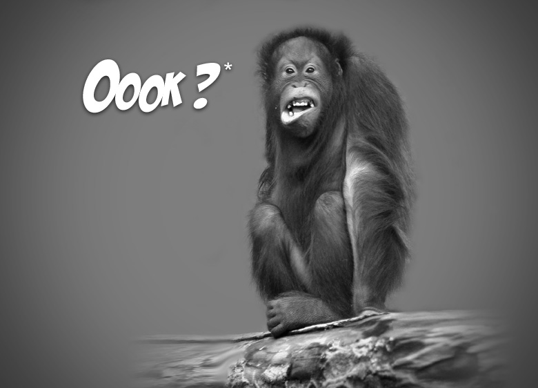 Oook ?