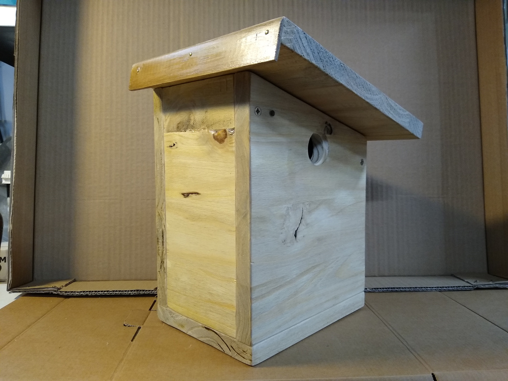 Cabane à oiseaux en fabrication