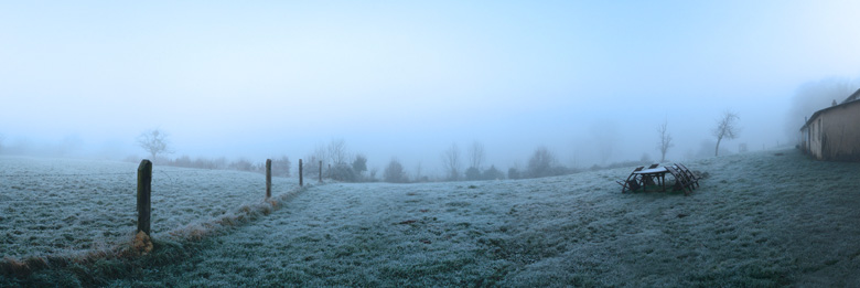 Jardin dans la brume