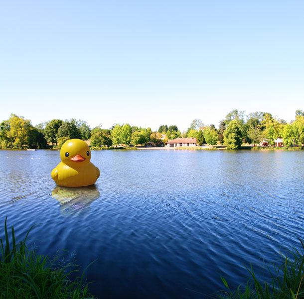 Le monstre du Duckness