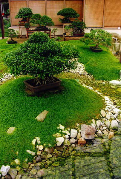 Bonzai (document de travail)