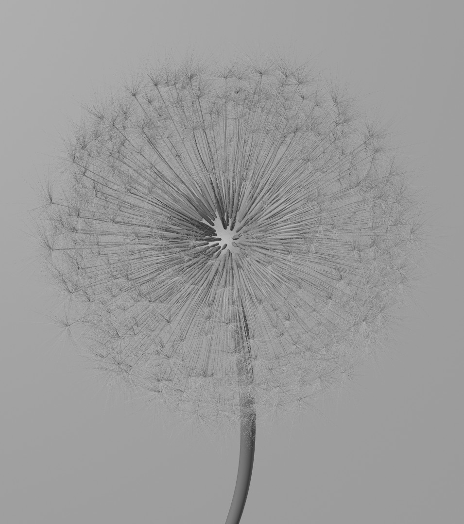 modélisation 3D du pissenlit avec Blender