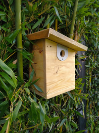 Cabane à oiseaux en bois 2