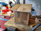 Cabane à oiseaux en fabrication